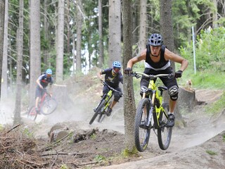 Casa per le vacanze Donaueschingen Ambiente 34