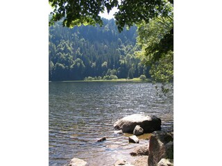 Casa per le vacanze Donaueschingen Ambiente 35