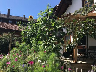 Casa per le vacanze Donaueschingen Caratteristiche 25