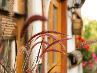 Casa per le vacanze Donaueschingen Caratteristiche 26