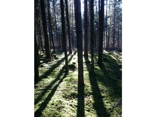 Vakantiehuis Donaueschingen Buitenaudio-opname 15