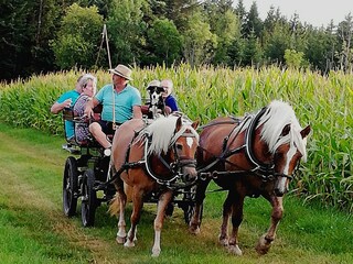 Casa per le vacanze Donaueschingen Registrazione all'aperto 17