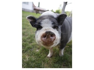 Casa per le vacanze Donaueschingen Registrazione all'aperto 19