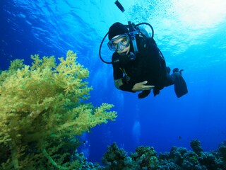 Tenuta Cala Figuera Ambiente 44