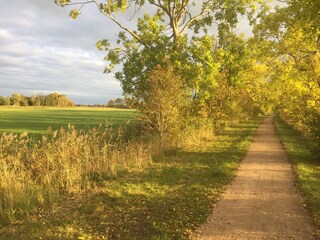 Der ehem. Bahndamm, direkt am Gulfhof, Wander- & Radweg