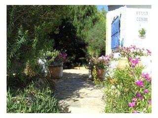 Villa La Nucia Registrazione all'aperto 7