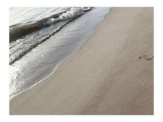 Spazieren an der Elbe