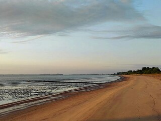 Strand Elbinsel Krautsand