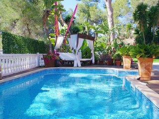 The pool of the house