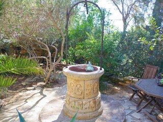 View into the garden