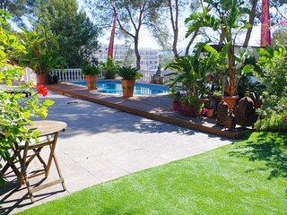 View onto the pool