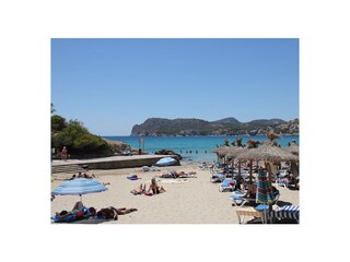 Appartamento per vacanze Paguera Ambiente 40