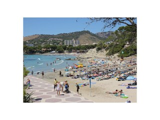 Appartamento per vacanze Paguera Ambiente 37