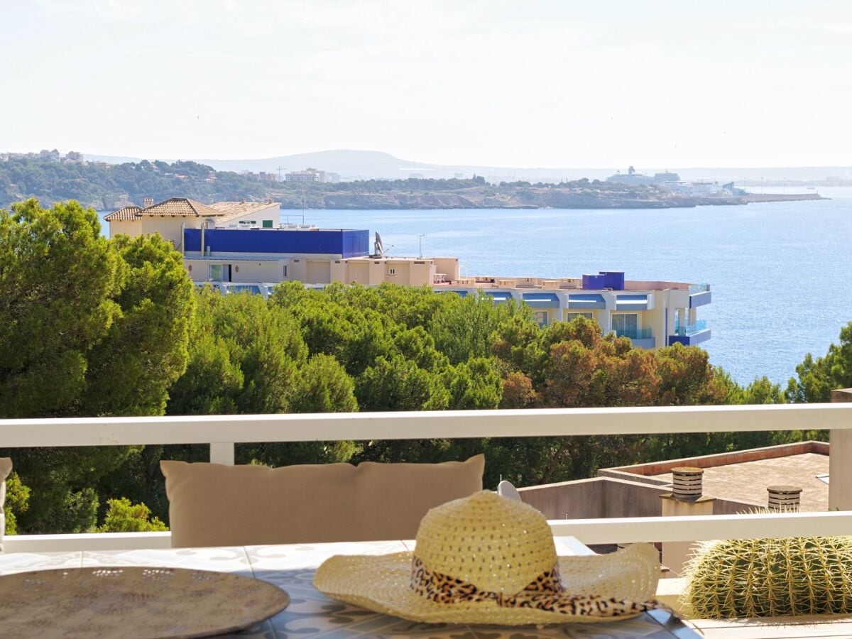 Blick von der Terrasse der Wohnung