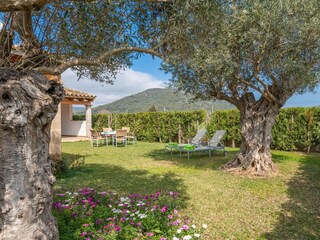 Villa Sa Pobla Registrazione all'aperto 5