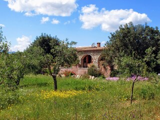 Casa de campo Baunei Grabación al aire libre 4
