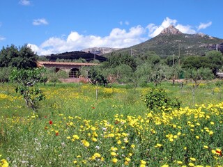 Casale Baunei Registrazione all'aperto 5