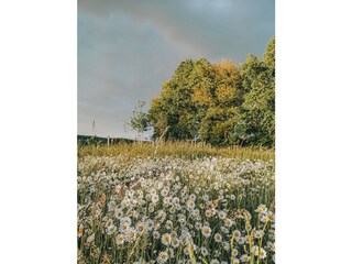 Ferienwohnung Oppurg Umgebung 34