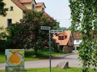 Pfarrhof Dewitz vom Anger aus