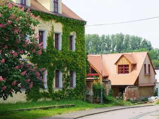 Pfarrhof Dewitz mit Ferienwohnung Kirchblick