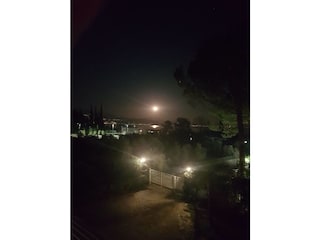 Gartentor