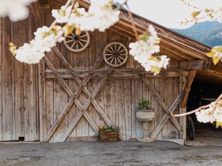 Vakantieappartement Lana Buitenaudio-opname 11