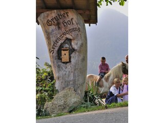 Appartamento per vacanze Lana Documento 29