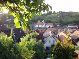 Blick auf Pottenstein v. Garten