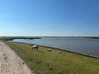 Ferienwohnung Wenkendorf Außenaufnahme 4