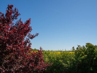 Ferienwohnung Wenkendorf Außenaufnahme 14