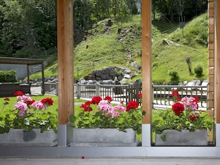 Blumenpracht
