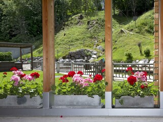 Blumenpracht
