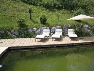 Naturpool