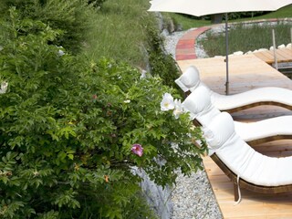Naturpool