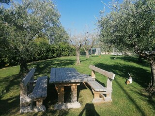 Appartamento San Felice del Benaco Registrazione all'aperto 11