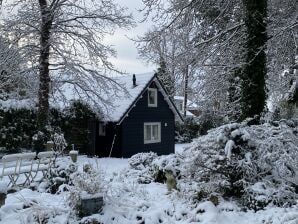 Holiday house Garden Find - Zandvoort - image1