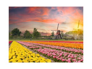 Casa per le vacanze Zandvoort Registrazione all'aperto 6