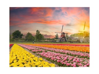 Ferienhaus Zandvoort Außenaufnahme 5