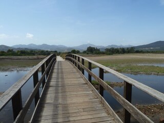 Casa per le vacanze Budoni Ambiente 25