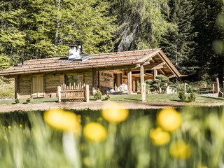 Casa per le vacanze Cavareno Registrazione all'aperto 9