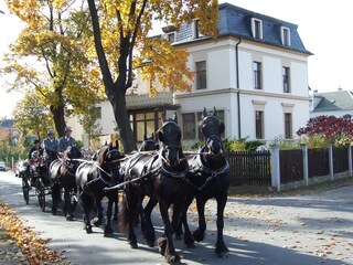 Vakantieappartement Radebeul Buitenaudio-opname 2