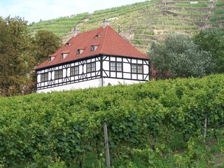 Appartement de vacances Radebeul Environnement 22