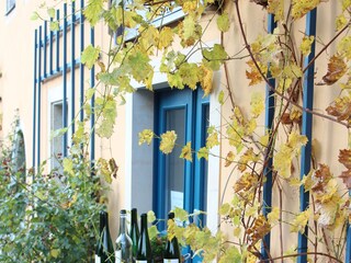 Apartamento de vacaciones Radebeul Entorno 24