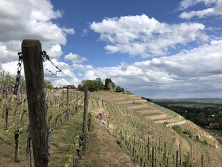 Appartamento per vacanze Radebeul Ambiente 26