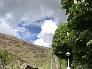 Appartamento per vacanze Radebeul Ambiente 32