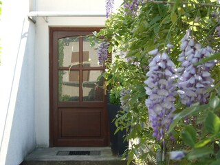 Vakantieappartement Radebeul Buitenaudio-opname 5