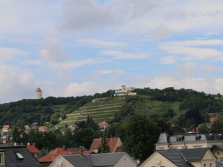 Vakantieappartement Radebeul Buitenaudio-opname 6