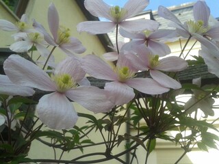 Appartamento per vacanze Radebeul Ambiente 19