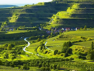 Casa per le vacanze Ihringen Ambiente 26