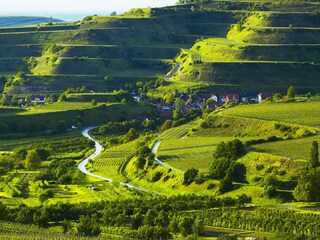Maison de vacances Ihringen Environnement 26